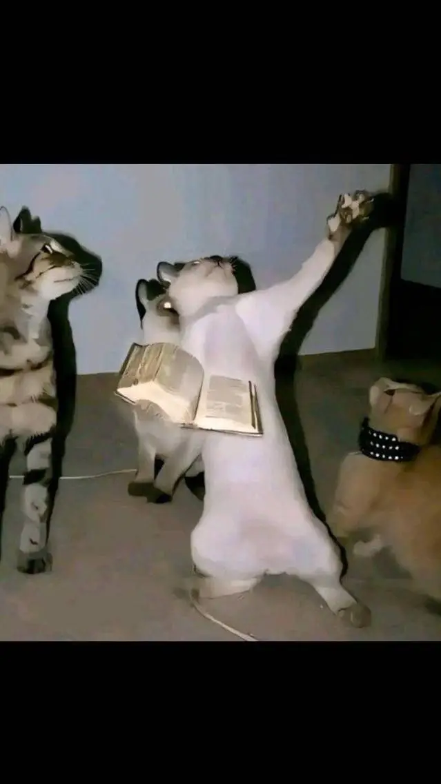 ai character: Sammy 🏳️‍🌈 background