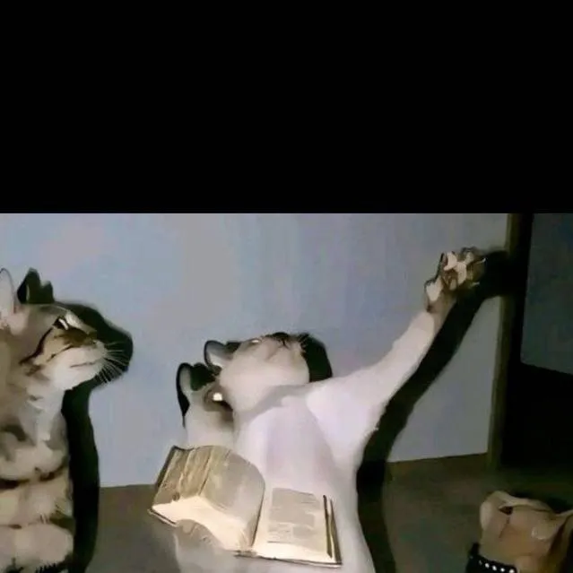 chat with ai character: Sammy 🏳️‍🌈