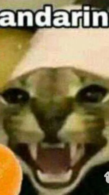 ai character: fiesta XD background