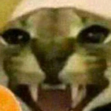 chat with ai character: fiesta XD