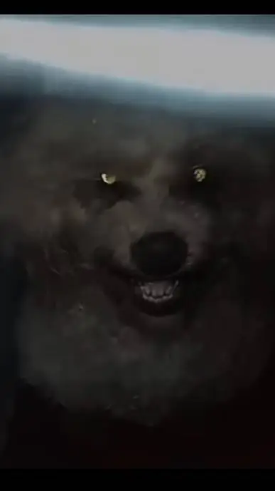 ai character: Skinwalker  background