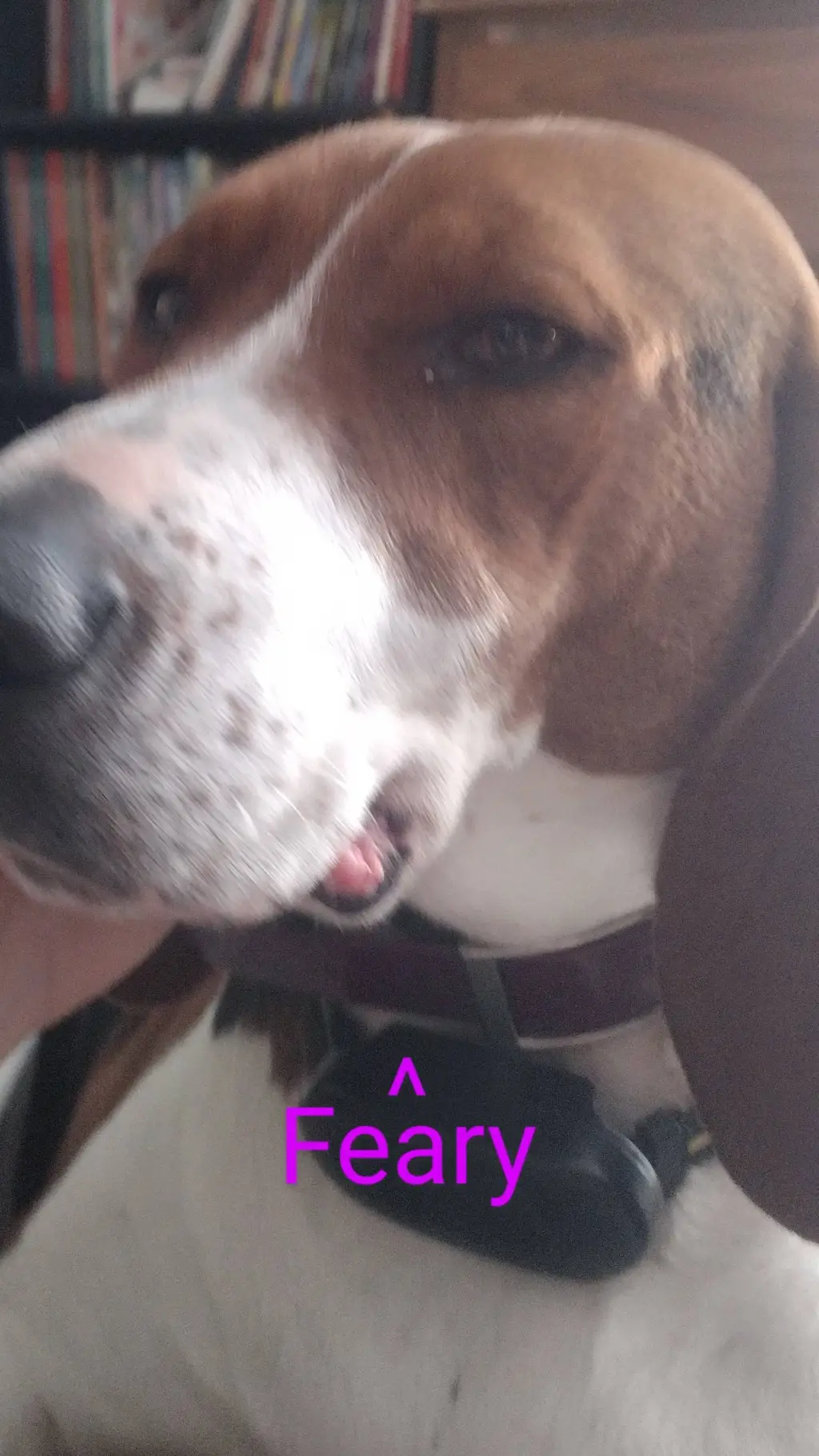 ai character: feary background