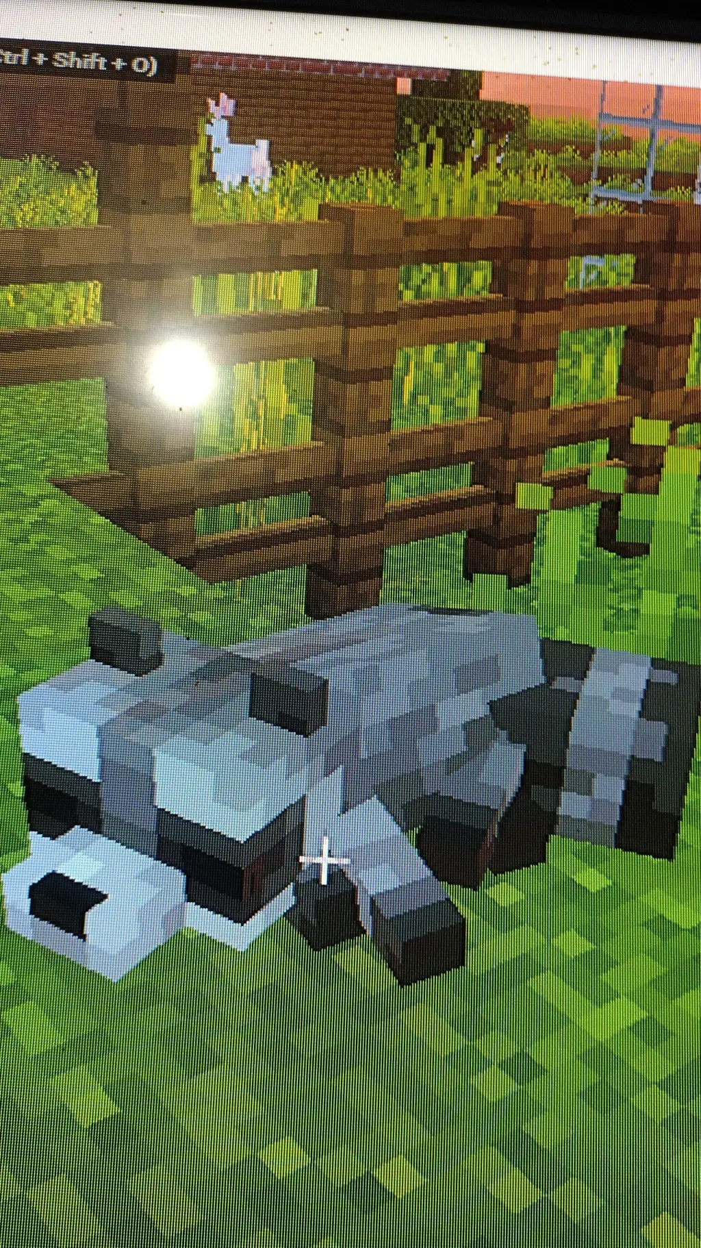 ai character: Mr raccoon background