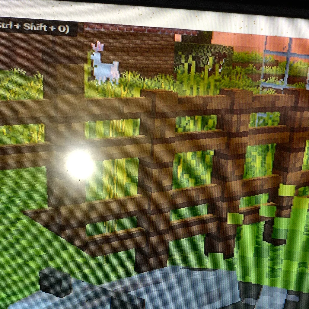 chat with ai character: Mr raccoon