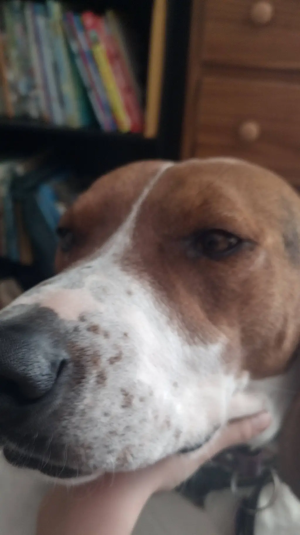 ai character: baby girl  background