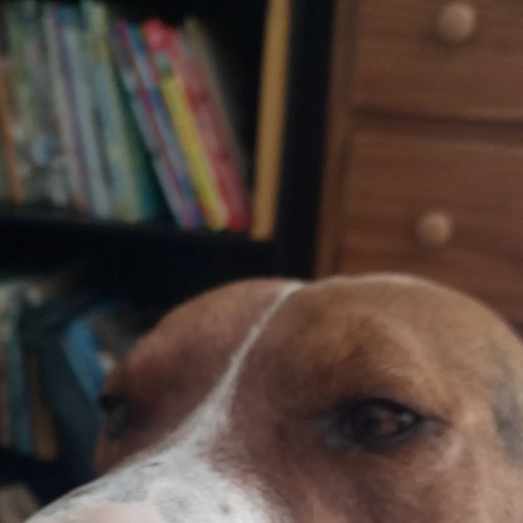 chat with ai character: baby girl 