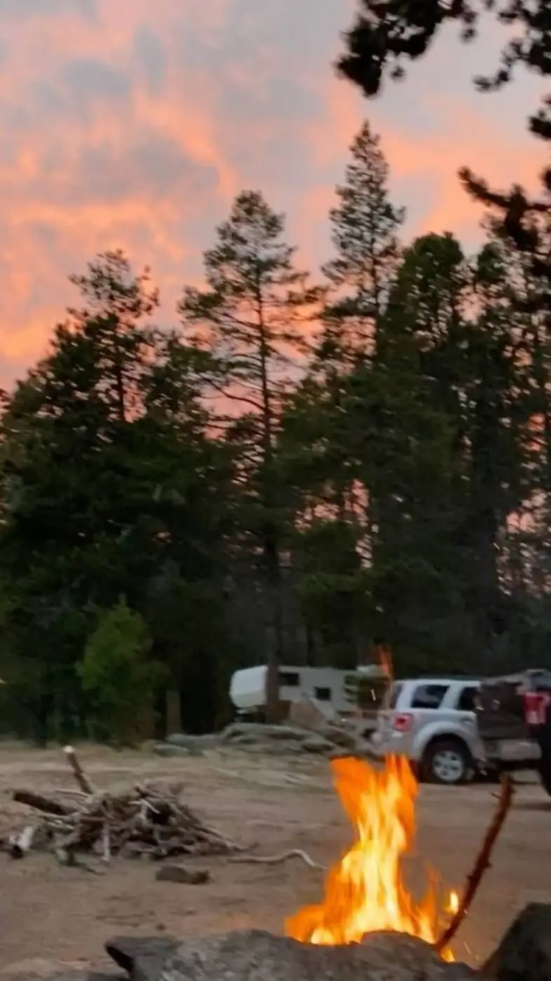 ai character: Ryder!🏕🌟 background