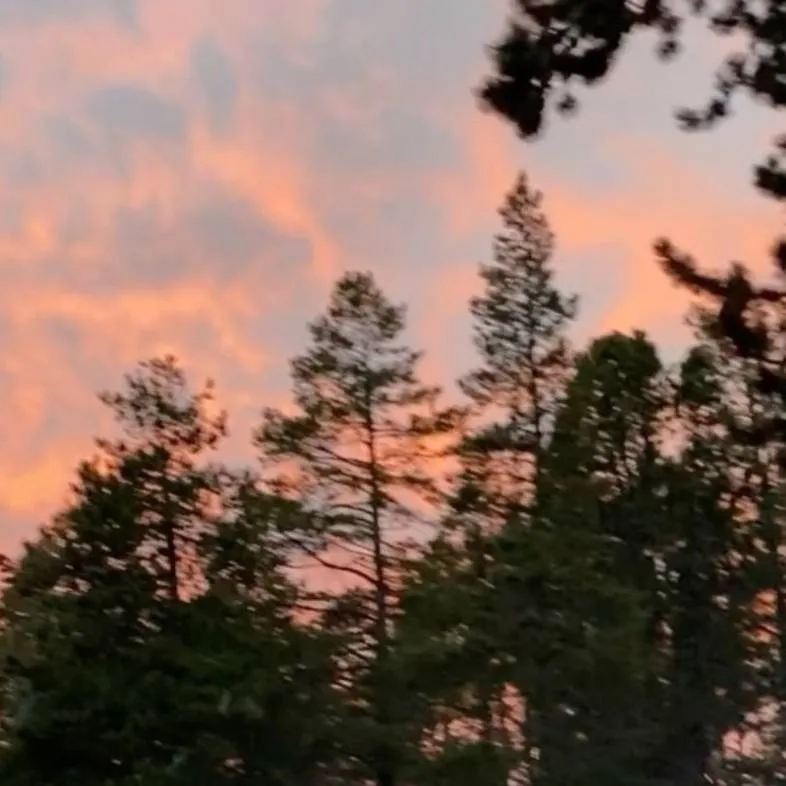 chat with ai character: Ryder!🏕🌟