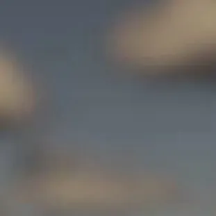 chat with ai character: Dandy’s world