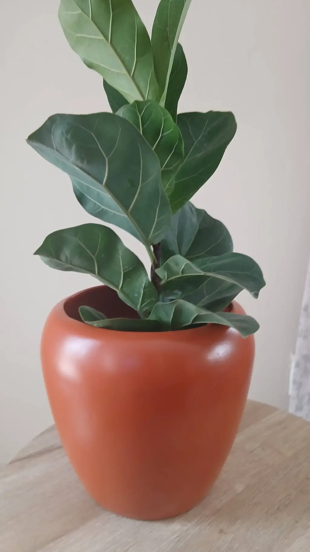 ai character: Vase background