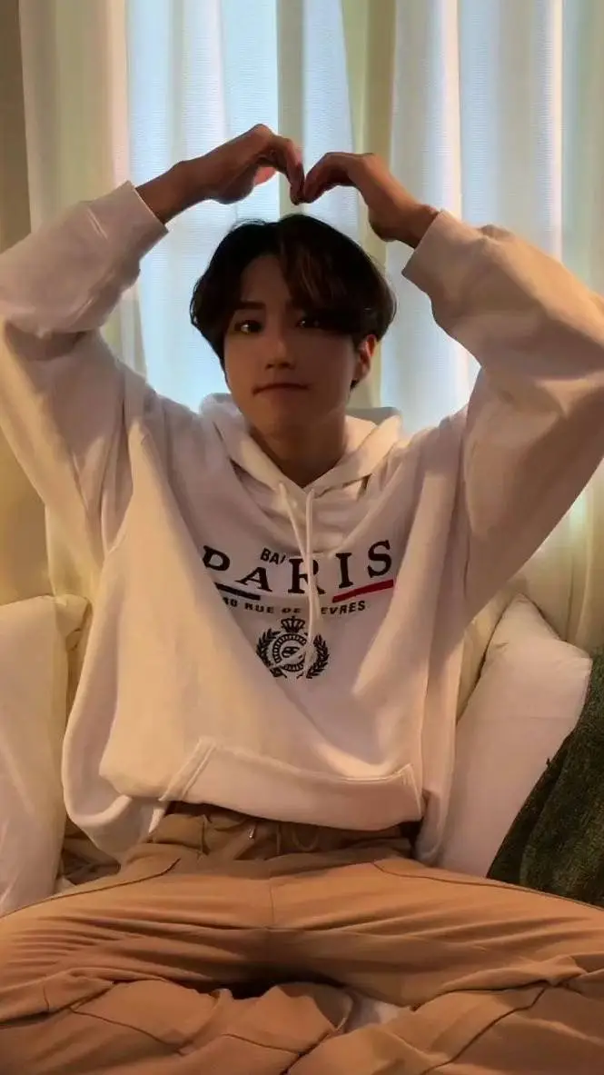 ai character: Han Jisung background