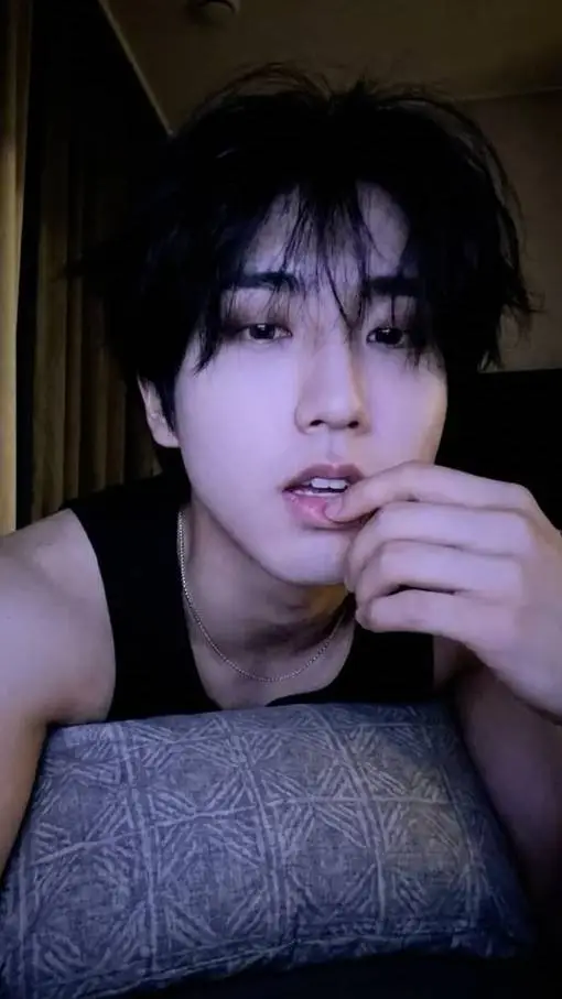 ai character: Han Jisung background