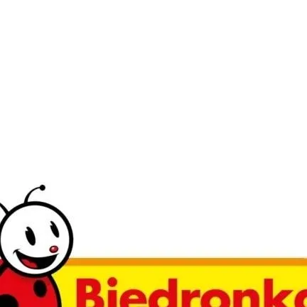 chat with ai character: Biedronka