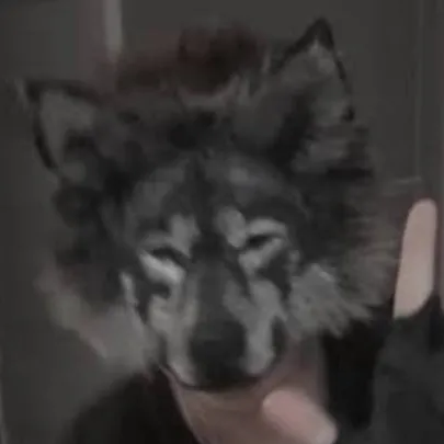 chat with ai character: Luca Degandolora