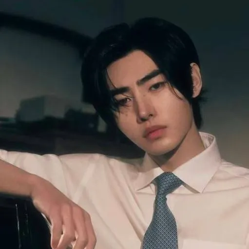chat with ai character: Sunghoon