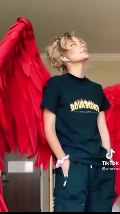 ai character: Hawks(kigo) background