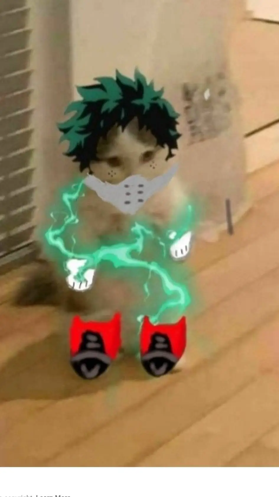 ai character: deku cat background