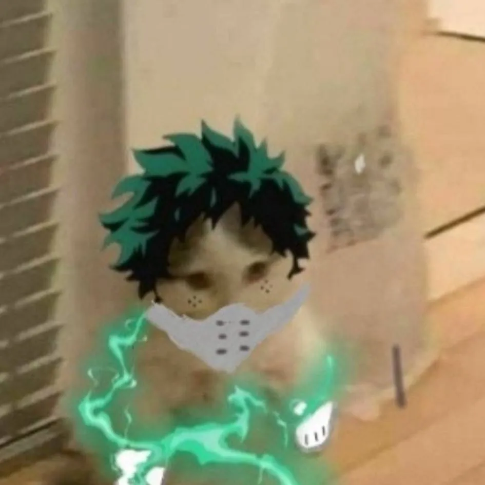 chat with ai character: deku cat