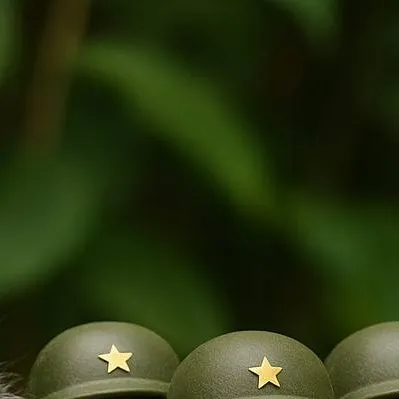 chat with ai character: gatitos militares 