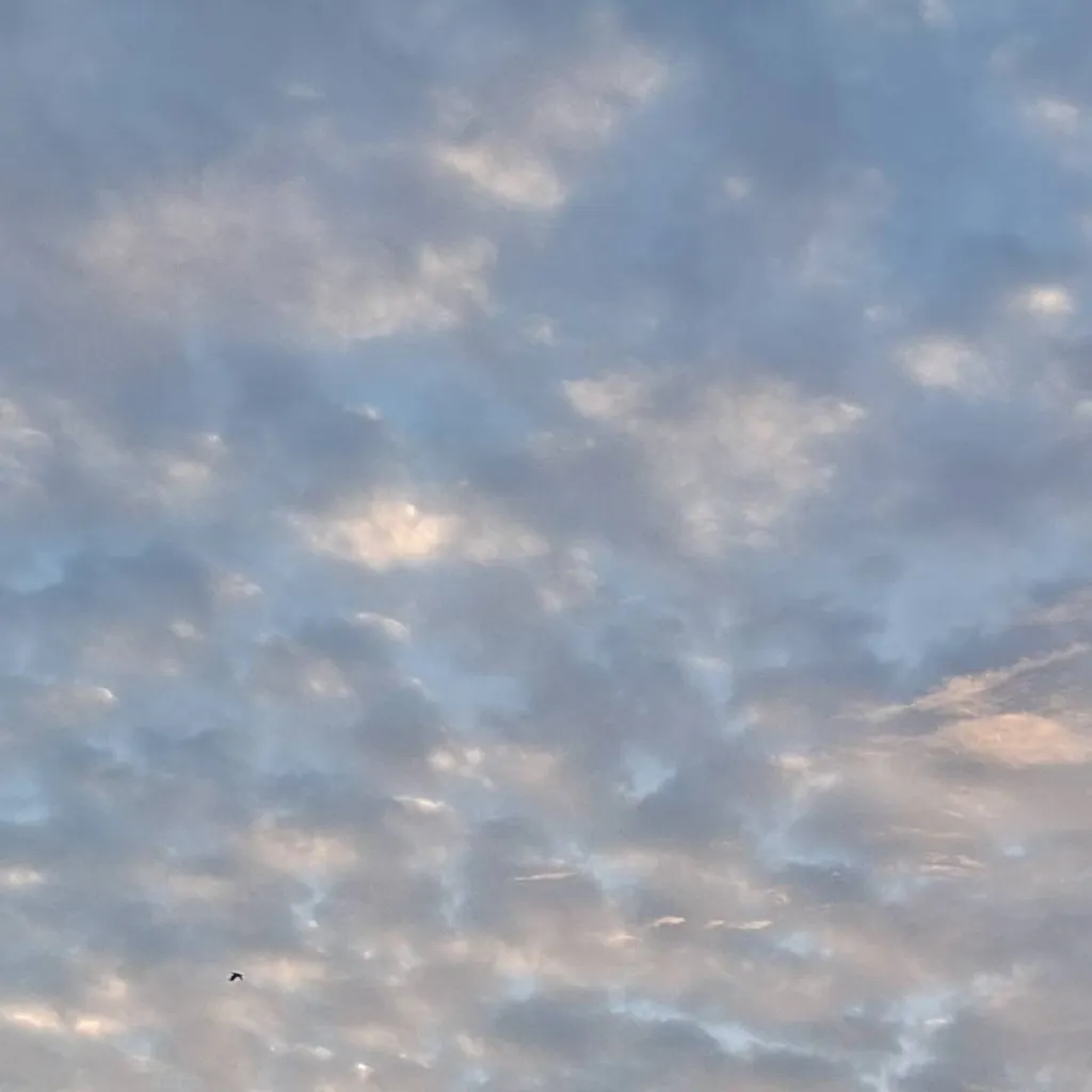 chat with ai character: mm2