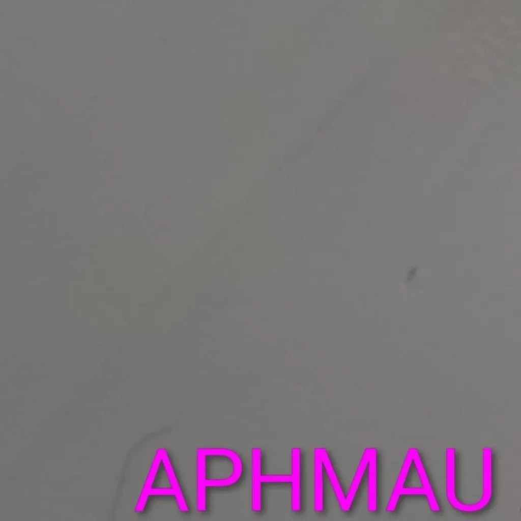 chat with ai character: aphmau and Dallas