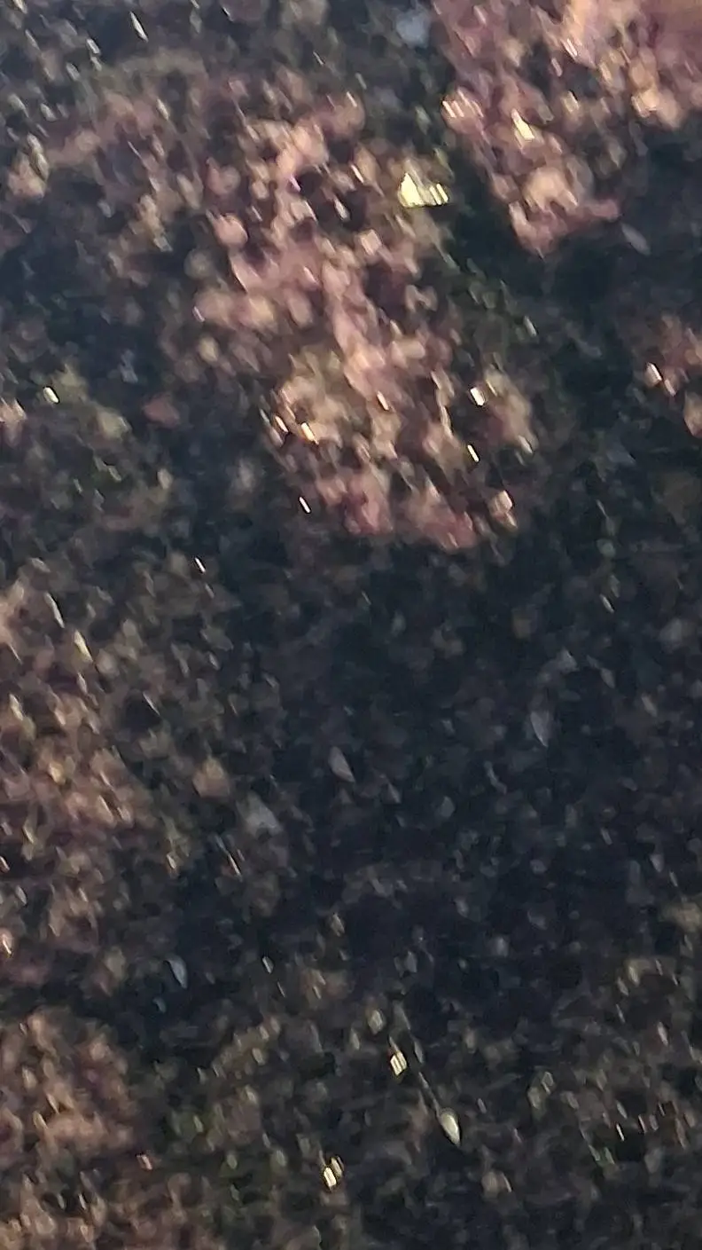 ai character: :) background