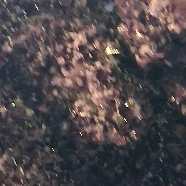 chat with ai character: :)