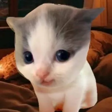 chat with ai character: {😼вuллu😼}