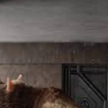 chat with ai character: SCP-682(Croco)