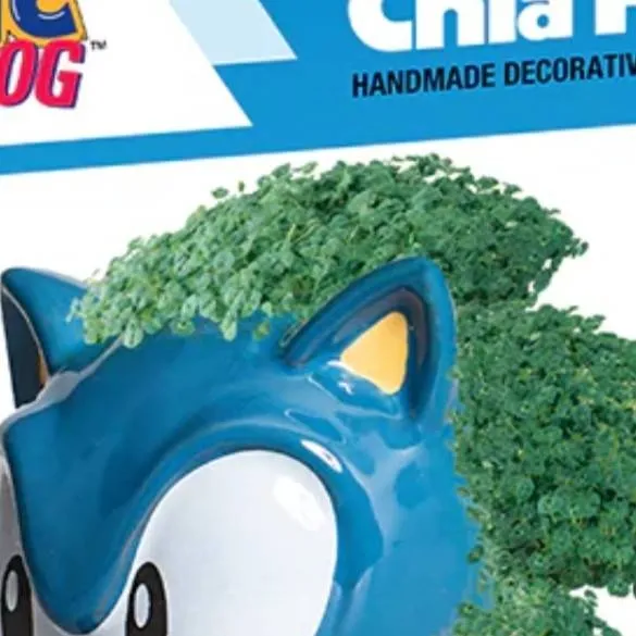 chat with ai character: Sonic the Cha.pi