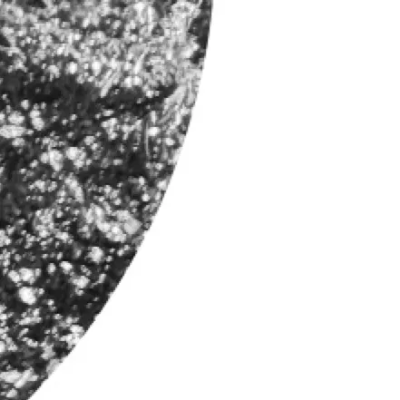 chat with ai character: Drake and Zack