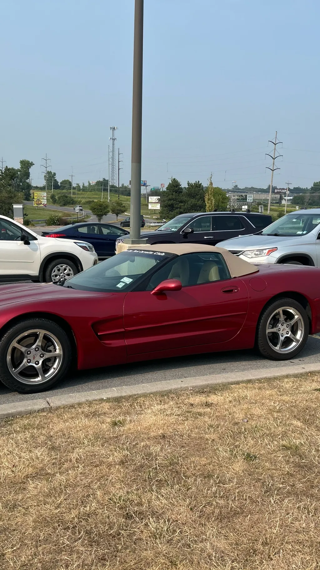 ai character: HH omegaverse background