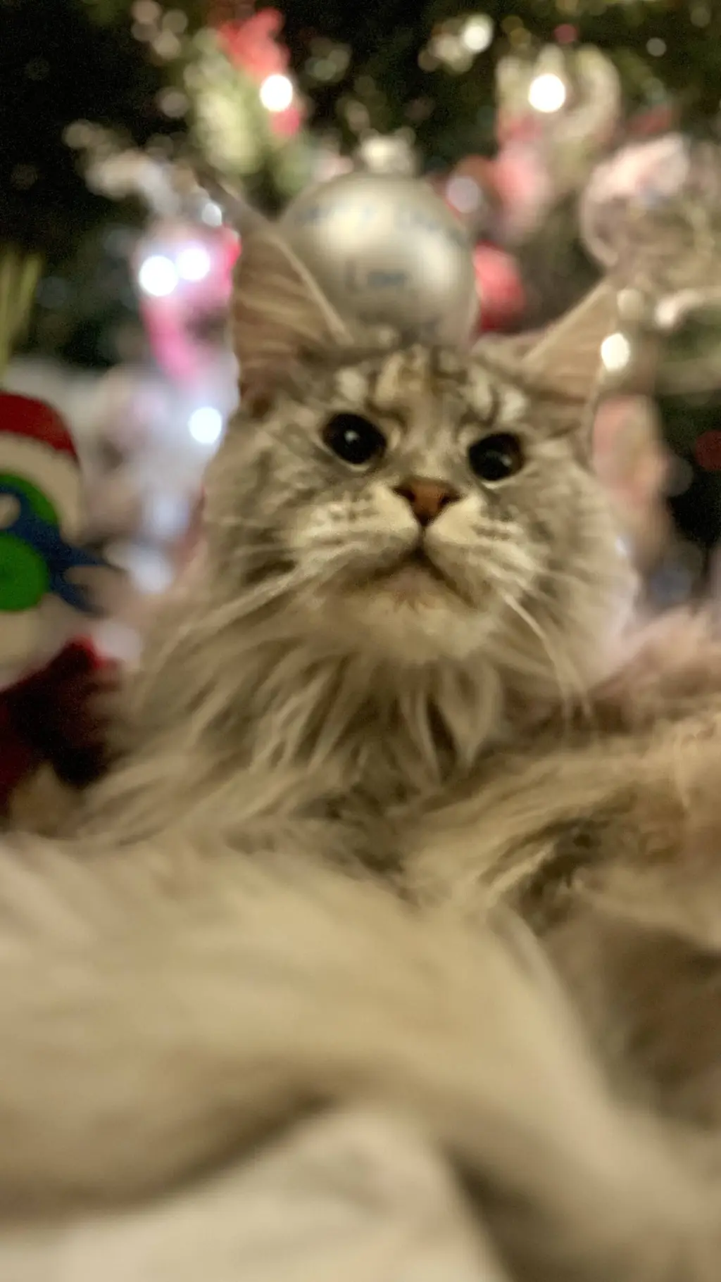 ai character: HB 7ds omegaverse background