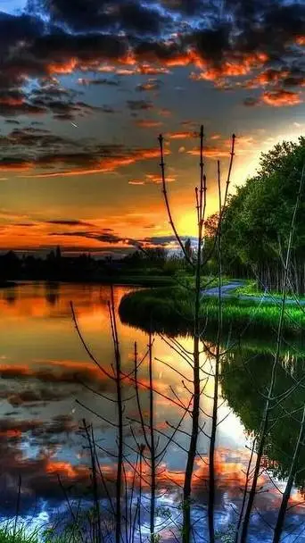 ai character: MD omegaverse background