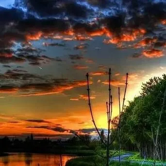 chat with ai character: MD omegaverse