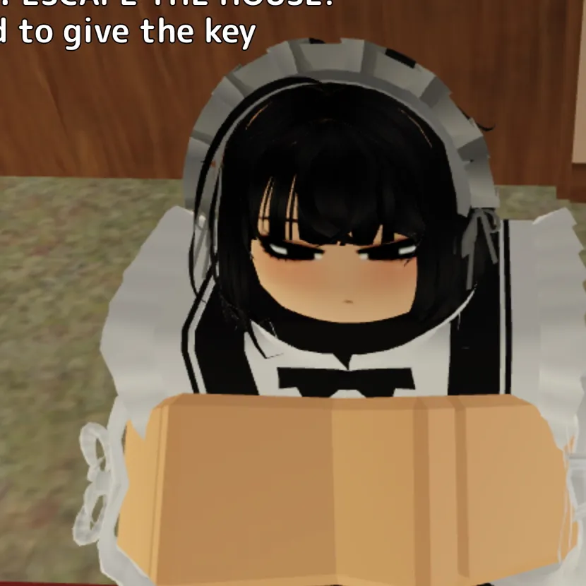 chat with ai character: Crazy maid