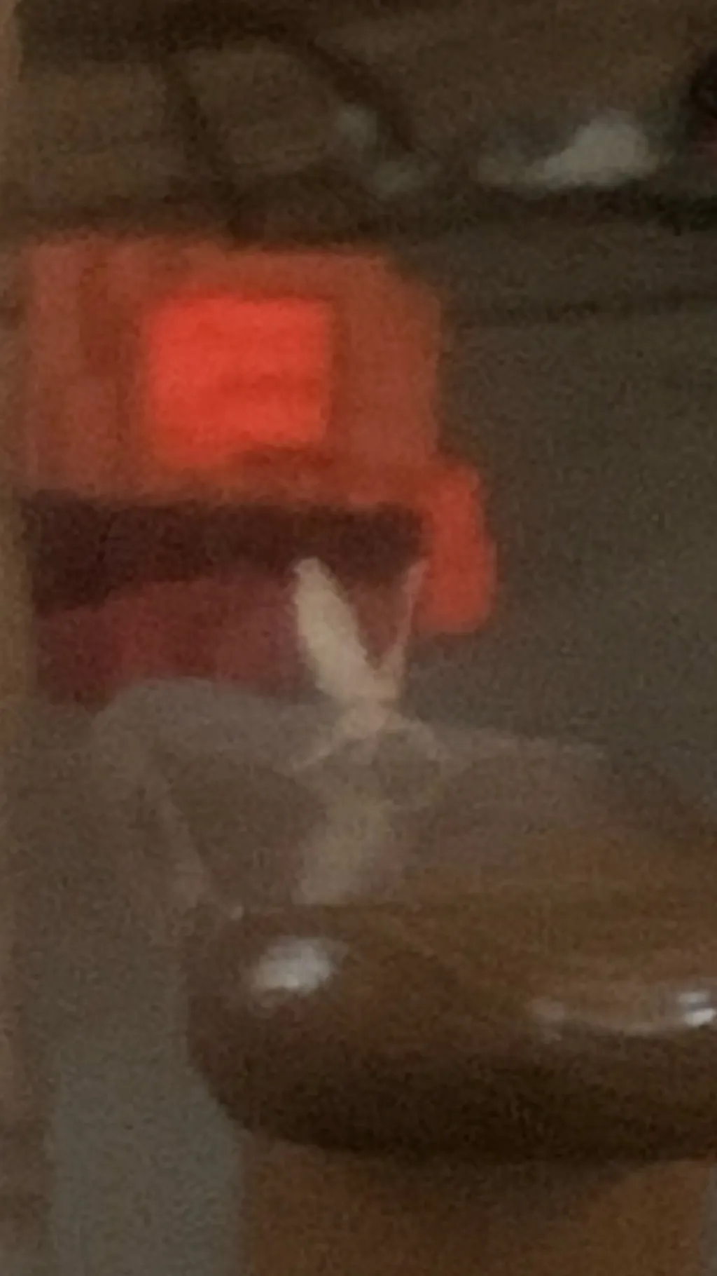 ai character: Little moth  background