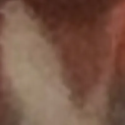 chat with ai character: Little moth 