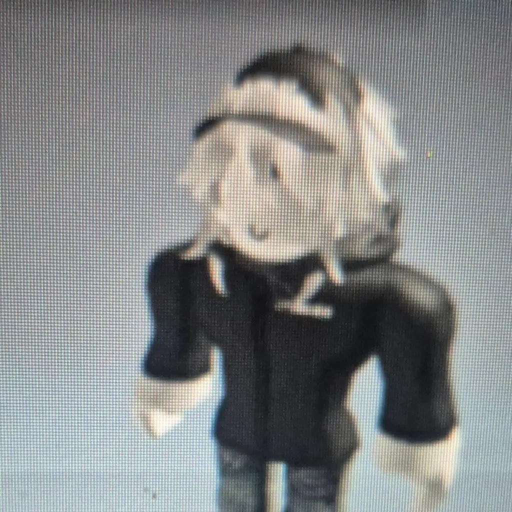 chat with ai character: roblox girl