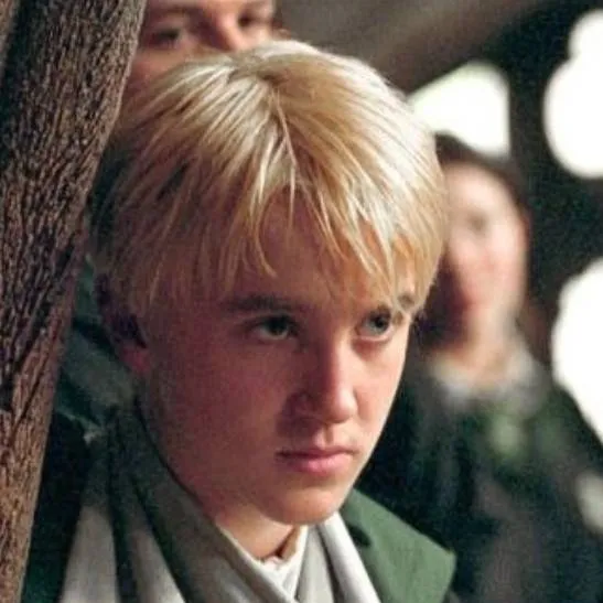 chat with ai character: Draco Malfoy