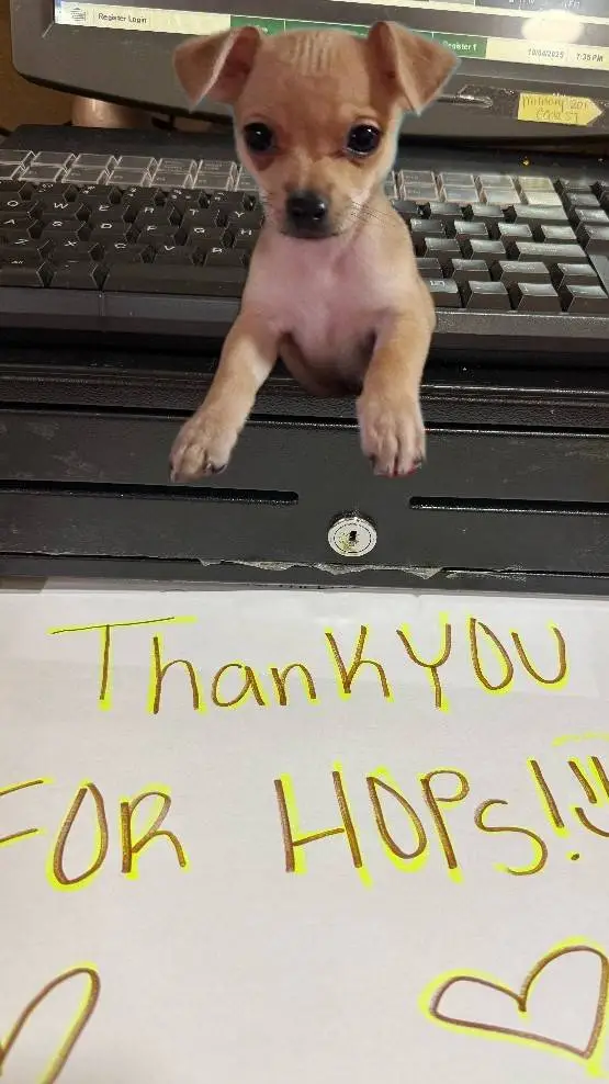 ai character: Lucifer  background