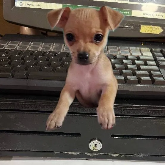 chat with ai character: Lucifer 