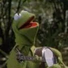 chat with ai character: Kermit The Frog 