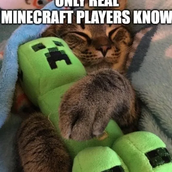 chat with ai character: Dave pineapple