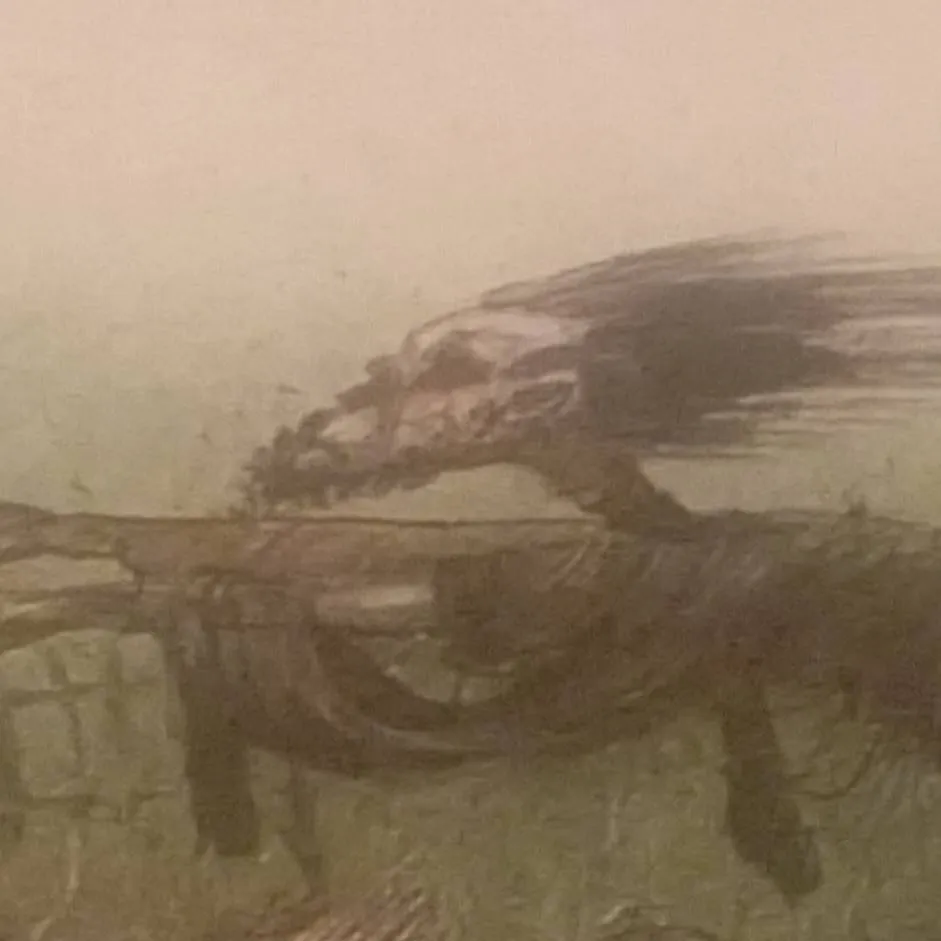 chat with ai character: HTF страх