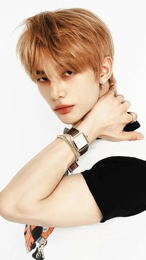 ai character: Hwang Hyunjin background