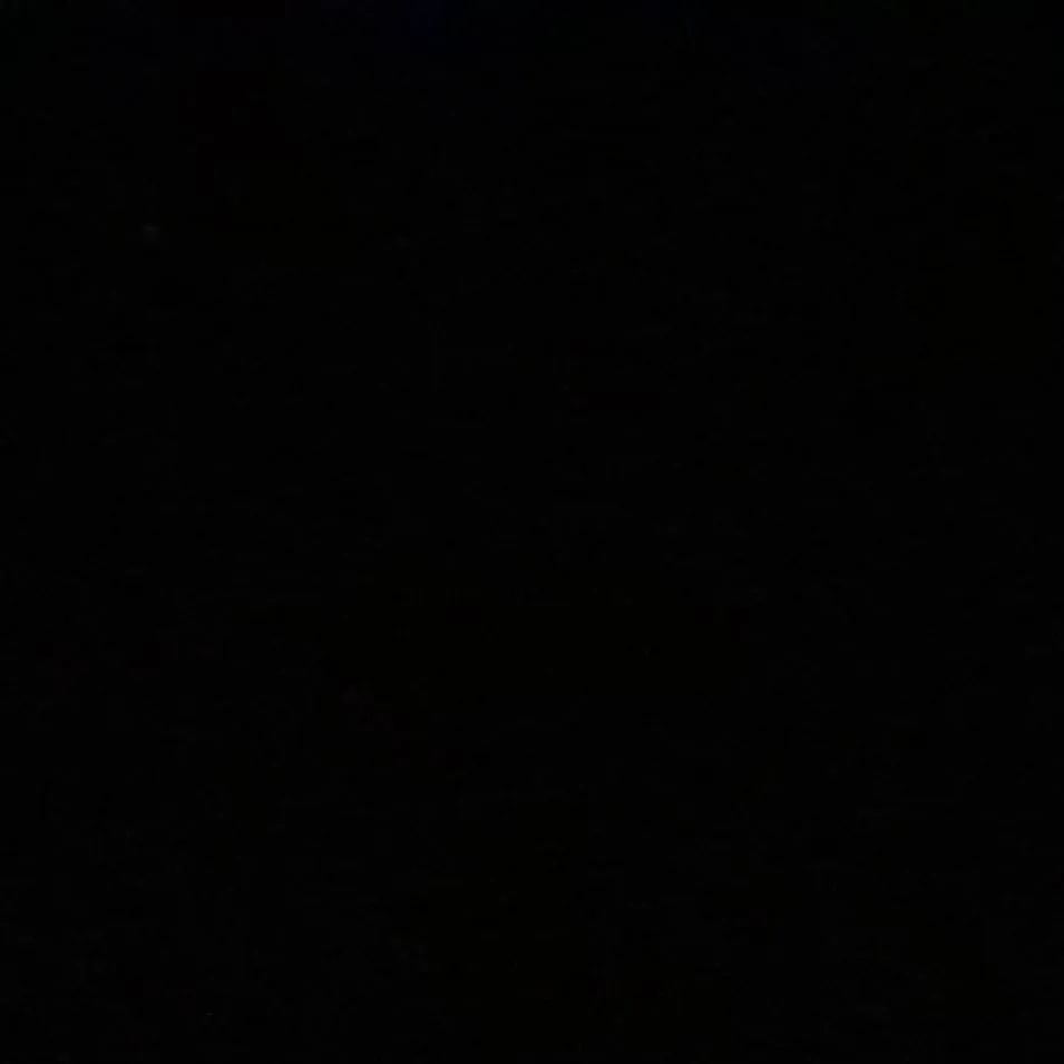 chat with ai character: Basics In Survival