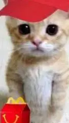 ai character: iguro  background