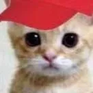 chat with ai character: iguro 