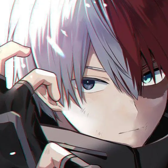 chat with ai character: todoroki sister 